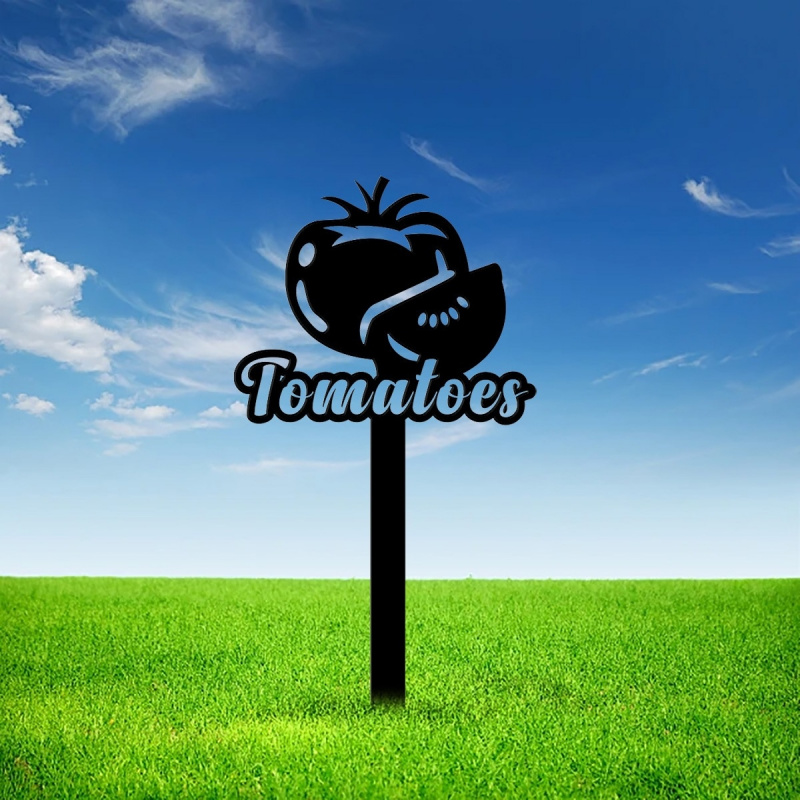 Tomato plantation vegetable ga - Art And Craft Vegetable review and price